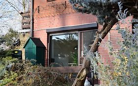 Elbwald-Studio